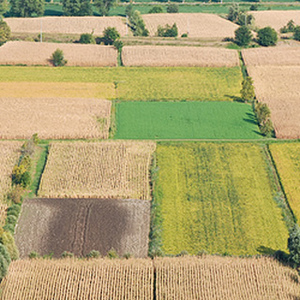 Banca delle Terra Lombarda